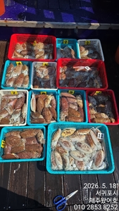 제주왔어호((9.77톤)) 5월 18일 갑오징어 조황 선상낚시로 잡은 물고기 조황