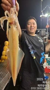 제주왔어호(9.77톤) 7월 7일 야간한치 조황 선상낚시로 잡은 물고기 조황