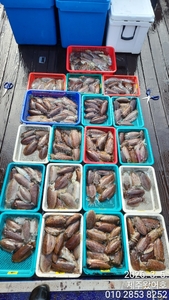 제주왔어호((9.77톤)) 3월 5일 갑오징어 조황 선상낚시로 잡은 물고기 조황