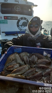 제주왔어호((9.77톤))26년 1월 17일 갑오징어 조황 선상낚시로 잡은 물고기 조황