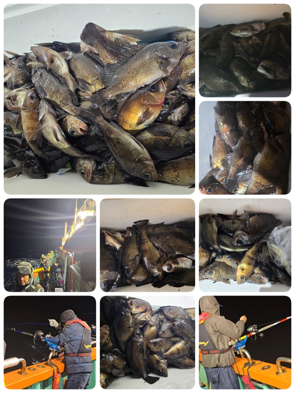 해당 선사를 대표하는 이미지