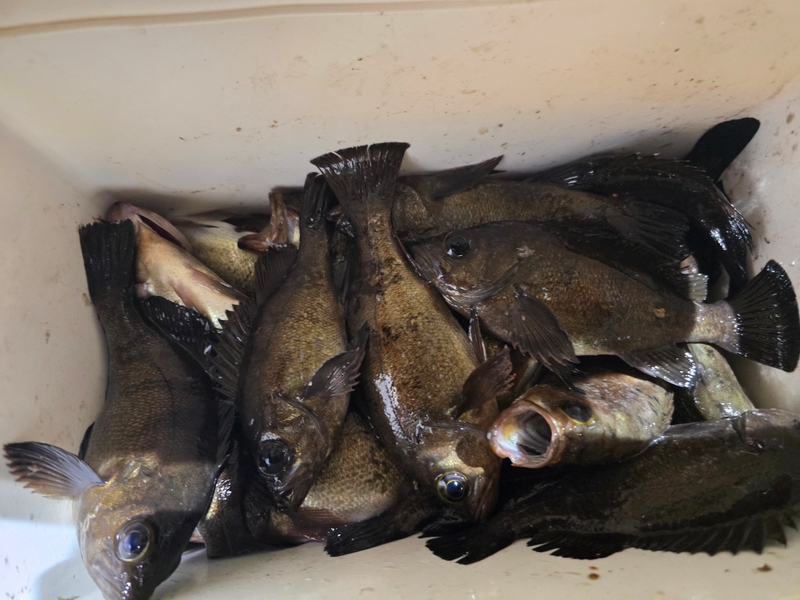 해당 선사를 대표하는 이미지