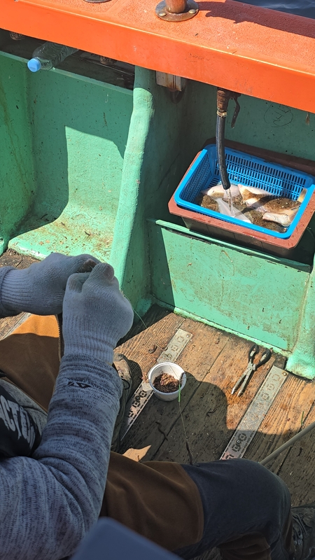 해당 선사를 대표하는 이미지