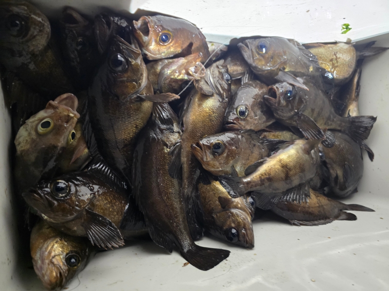 해당 선사를 대표하는 이미지