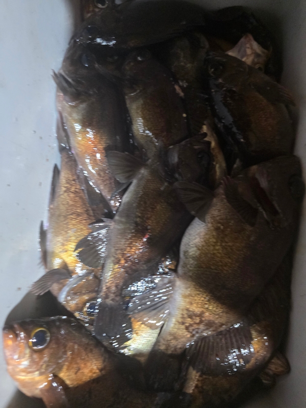 해당 선사를 대표하는 이미지