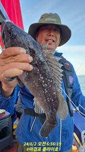 6월2일 마검포 플라이호 우럭 광어 조황입니다 선상낚시로 잡은 물고기 조황