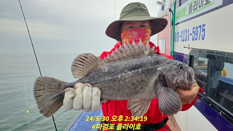 태안플라이호의 조황일지 이미지 - 11