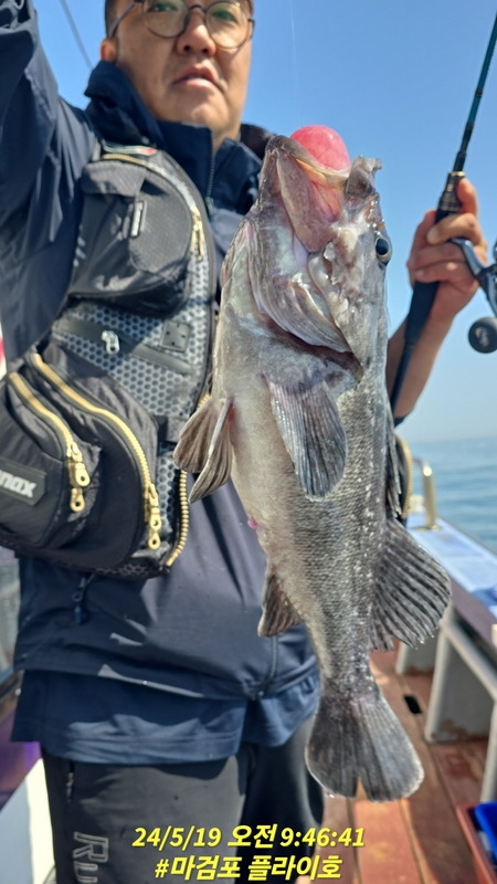 태안플라이호의 조황일지 이미지 - 14