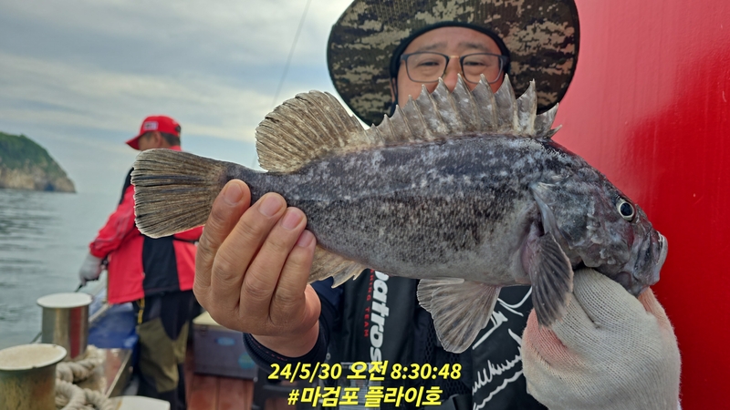 태안플라이호의 조황일지 이미지 - 15