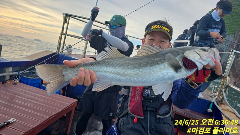 태안플라이호의 조황일지 이미지 - 15