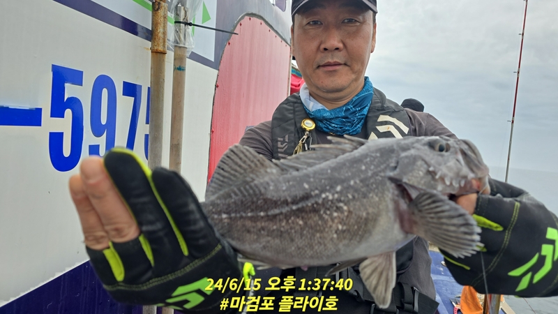 태안플라이호의 조황일지 이미지 - 6