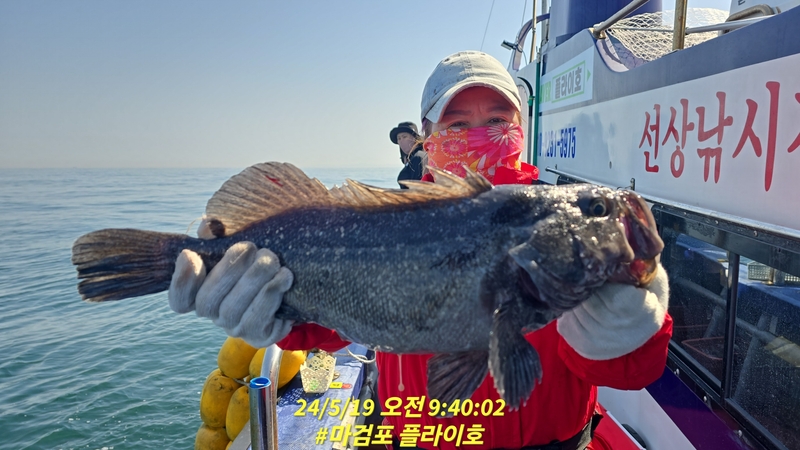 태안플라이호의 조황일지 이미지 - 16