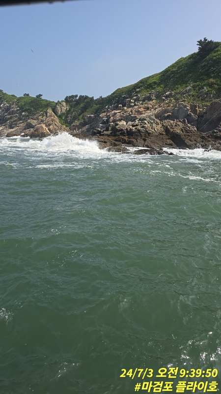 태안플라이호의 조황일지 이미지 - 7