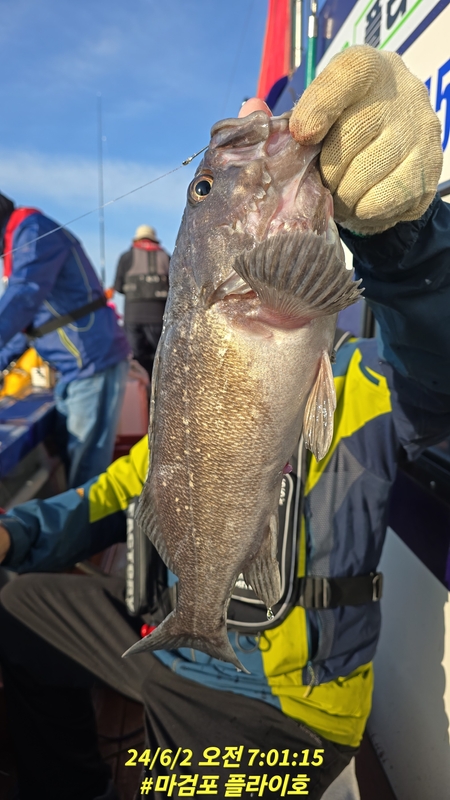 태안플라이호의 조황일지 이미지 - 1