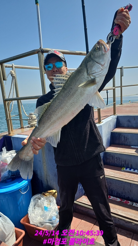 태안플라이호의 조황일지 이미지 - 2