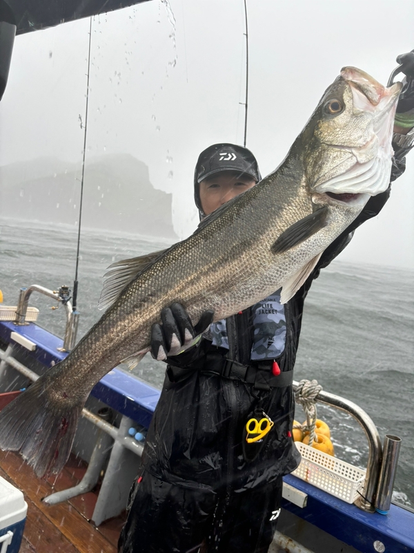 태안플라이호의 조황일지 이미지 - 12