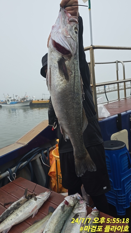 태안플라이호의 조황일지 이미지 - 2