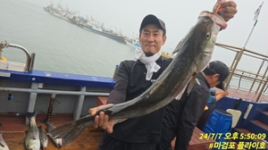 7월7일 8일 마검포 플라이호 농어캐스팅 조황입니다 선상낚시로 잡은 물고기 조황