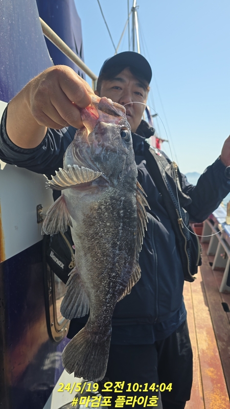 태안플라이호의 조황일지 이미지 - 11