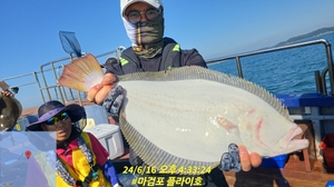 6월16일 마감포 플라이호 외수질 조황입니다 선상낚시로 잡은 물고기 조황