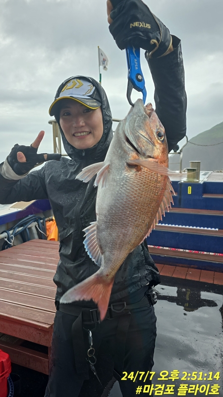 태안플라이호의 조황일지 이미지 - 3