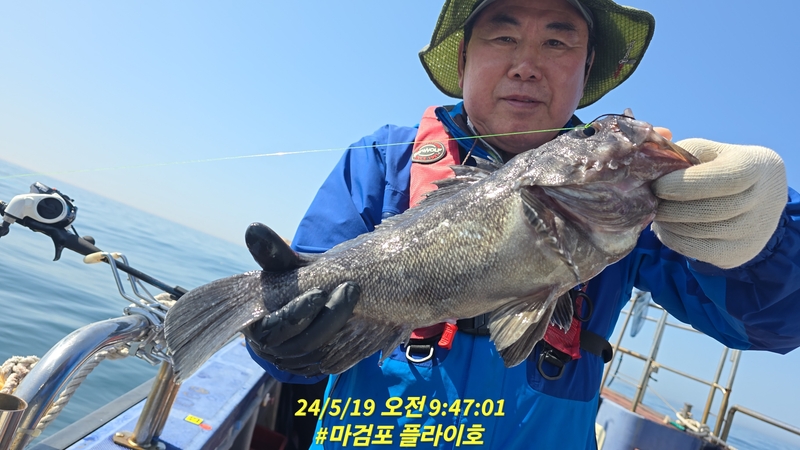 태안플라이호의 조황일지 이미지 - 13