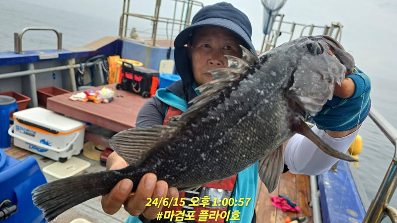 태안플라이호의 조황일지 이미지 - 7