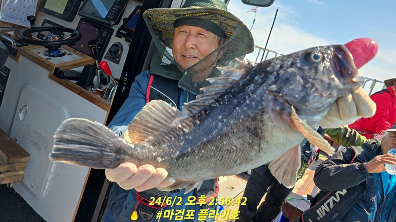 태안플라이호의 조황일지 이미지 - 3