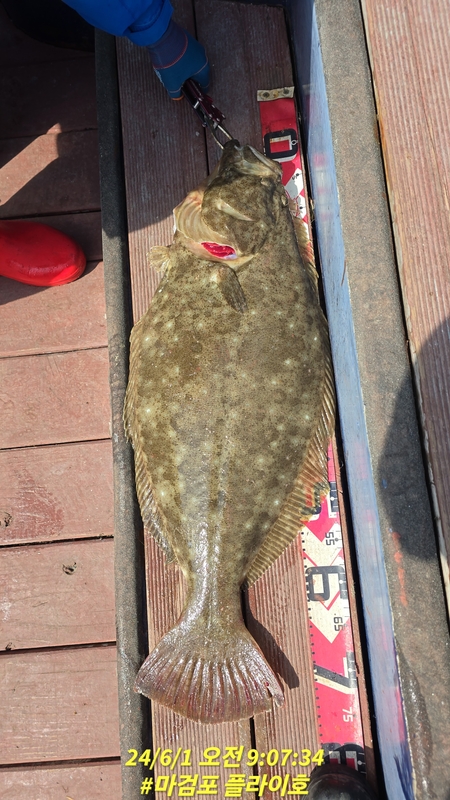 태안플라이호의 조황일지 이미지 - 1