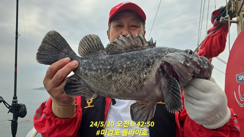 태안플라이호의 조황일지 이미지 - 17