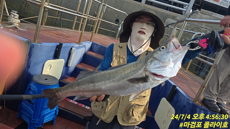 태안플라이호의 조황일지 이미지 - 1