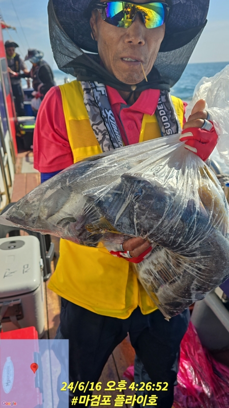 태안플라이호의 조황일지 이미지 - 2