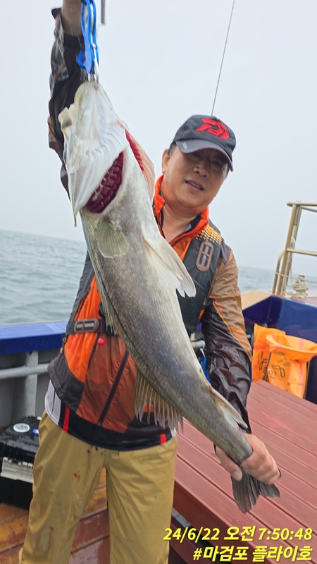 태안플라이호의 조황일지 이미지 - 0