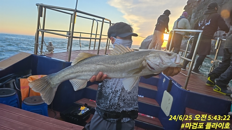 태안플라이호의 조황일지 이미지 - 19