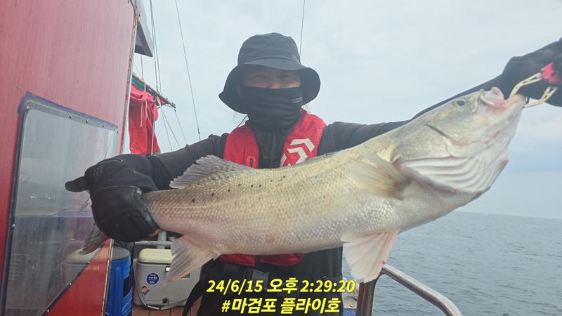 태안플라이호의 조황일지 이미지 - 10