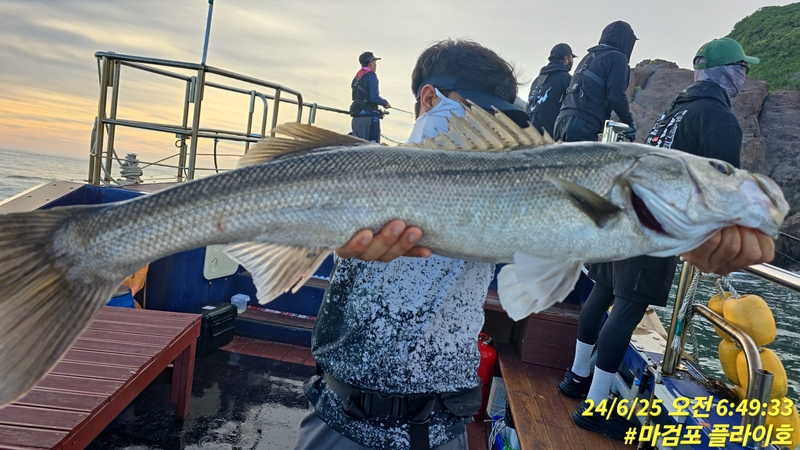 태안플라이호의 조황일지 이미지 - 14