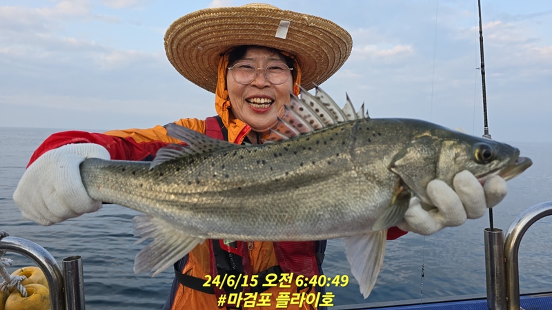 태안플라이호의 조황일지 이미지 - 0