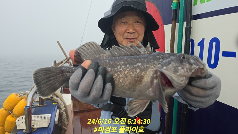 태안플라이호의 조황일지 이미지 - 17