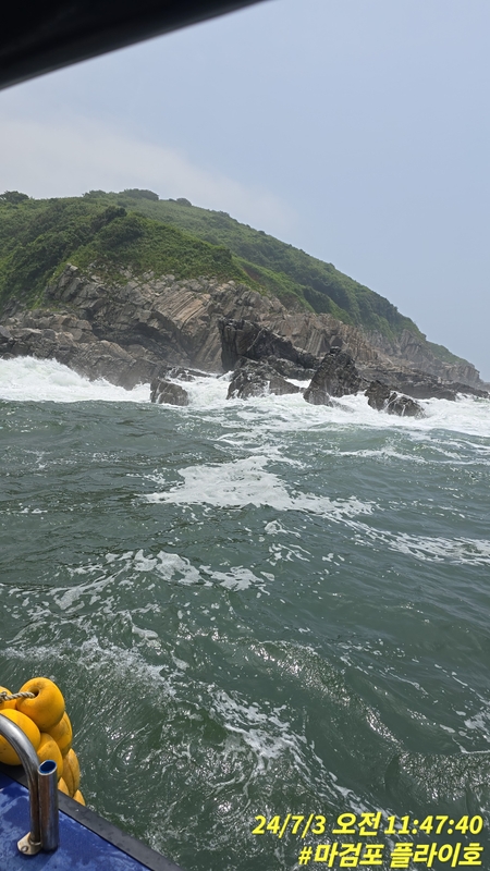 태안플라이호의 조황일지 이미지 - 8