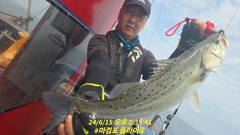 태안플라이호의 조황일지 이미지 - 9