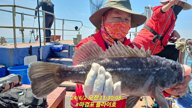 태안플라이호의 조황일지 이미지 - 2