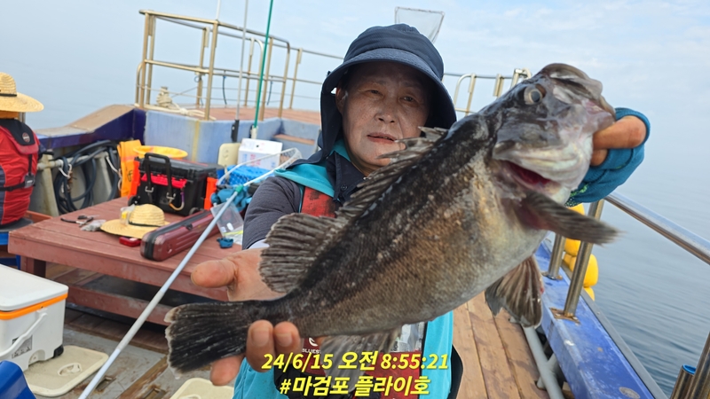 태안플라이호의 조황일지 이미지 - 2