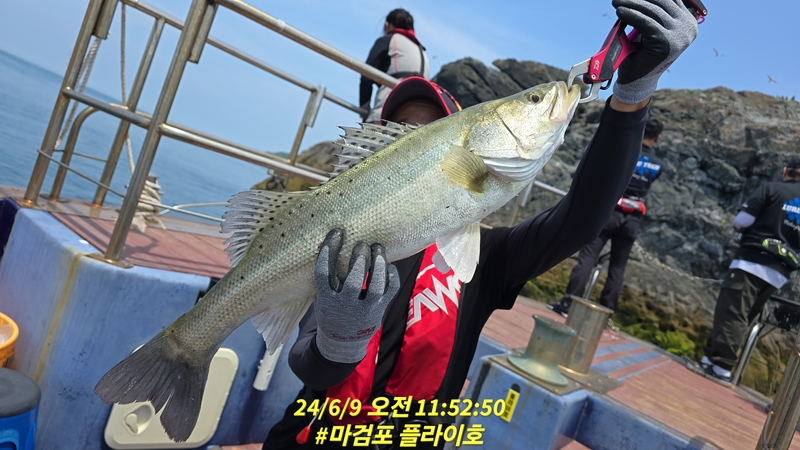 태안플라이호의 조황일지 이미지 - 2