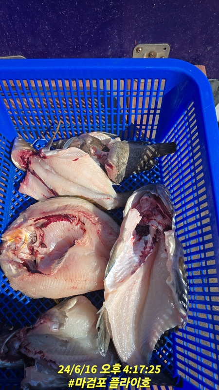 태안플라이호의 조황일지 이미지 - 10