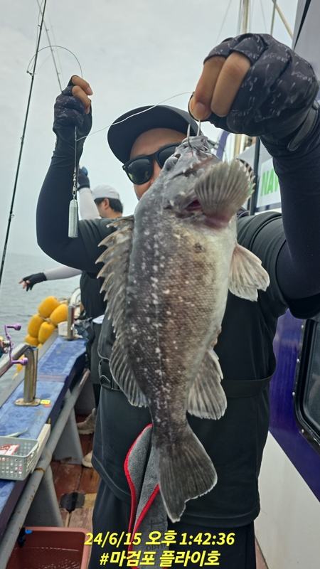 태안플라이호의 조황일지 이미지 - 11