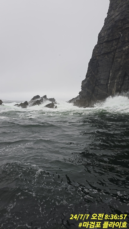 태안플라이호의 조황일지 이미지 - 9