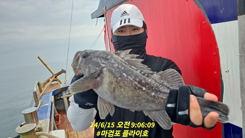 태안플라이호의 조황일지 이미지 - 5