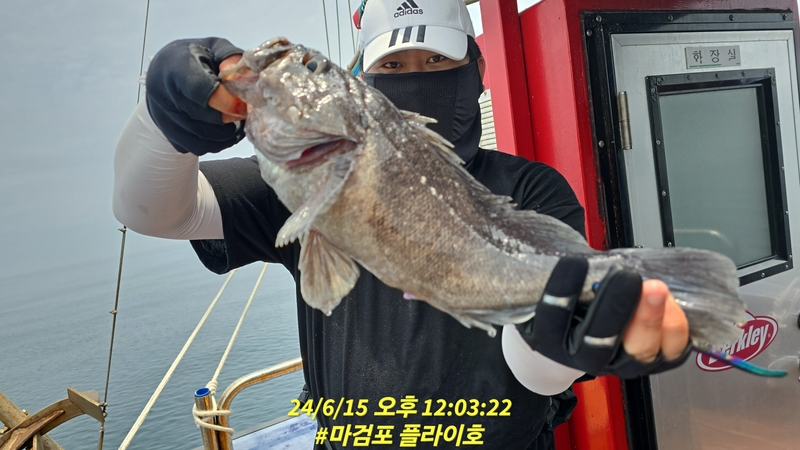 태안플라이호의 조황일지 이미지 - 8