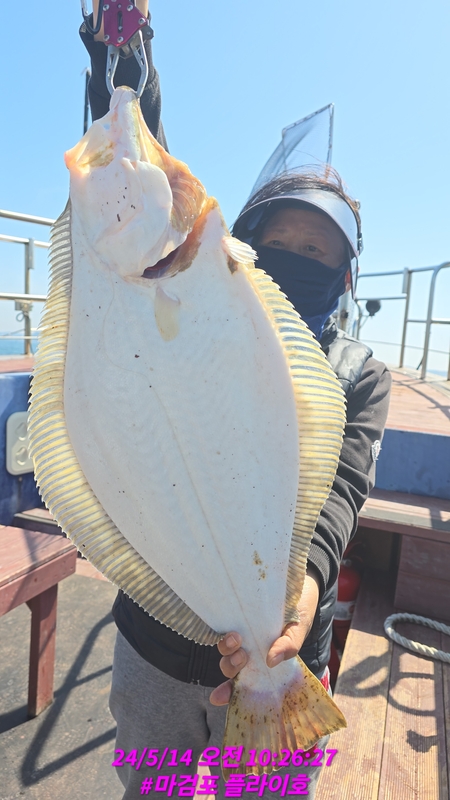 태안플라이호의 조황일지 이미지 - 1