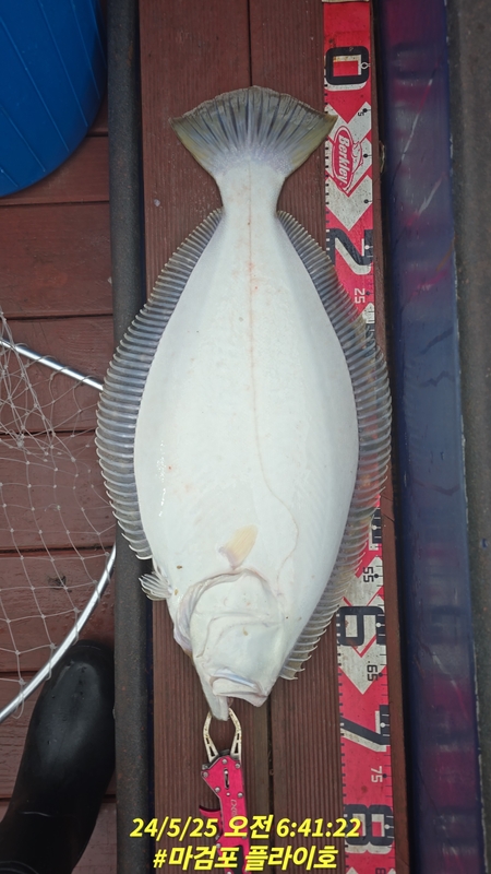 태안플라이호의 조황일지 이미지 - 11